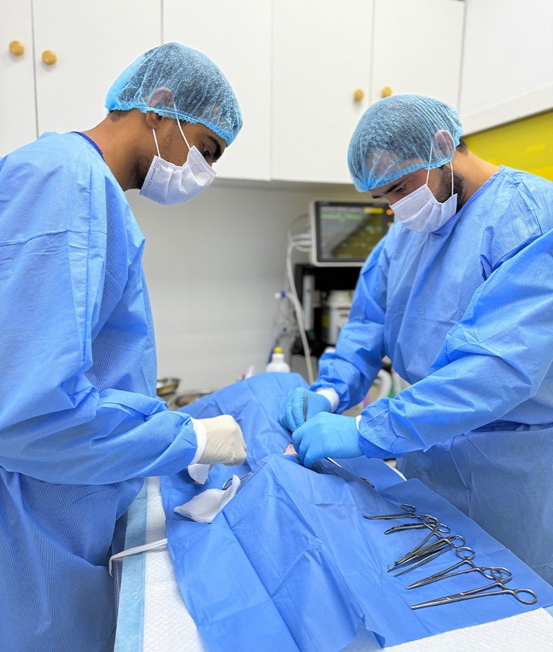 Surgery 22